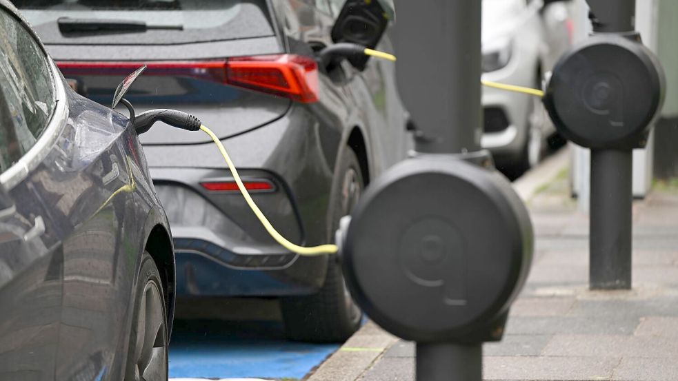 Der Anteil von E-Autos nimmt in Deutschland kontinuierlich zu. (Symbolbild) Foto: Arne Dedert/dpa
