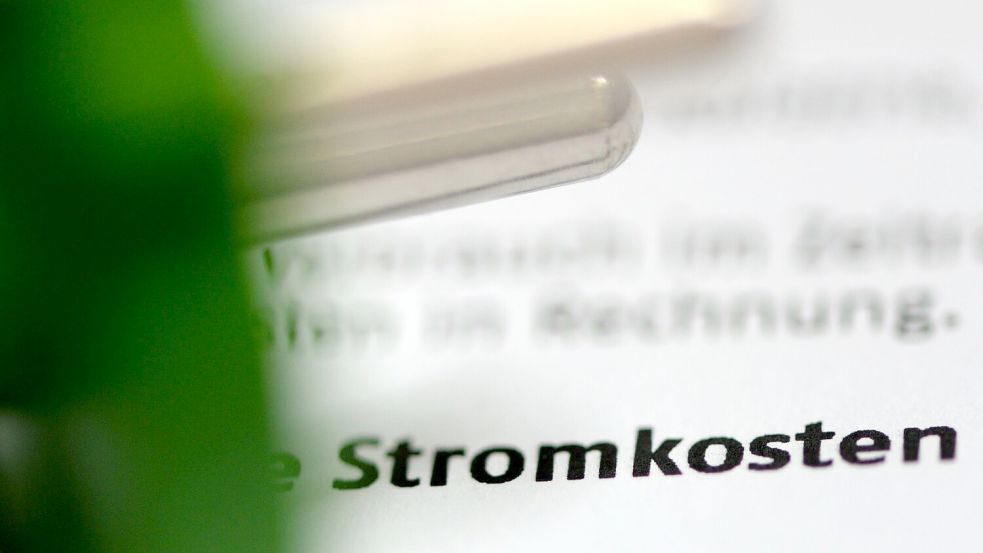 Die regionalen Unterschiede bei den Netzentgelten sind erheblich. (Symbolbild) Foto: Jens Kalaene/dpa-Zentralbild/dpa