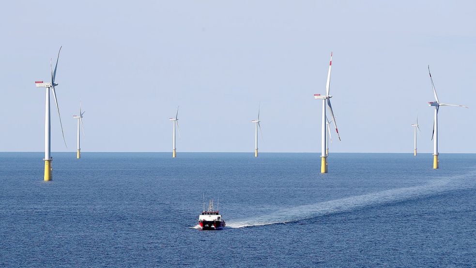 Vattenfall vermarktet nach eigenen Angaben erstmals Regelenergie auf hoher See. (Archivbild) Foto: Christian Charisius/dpa