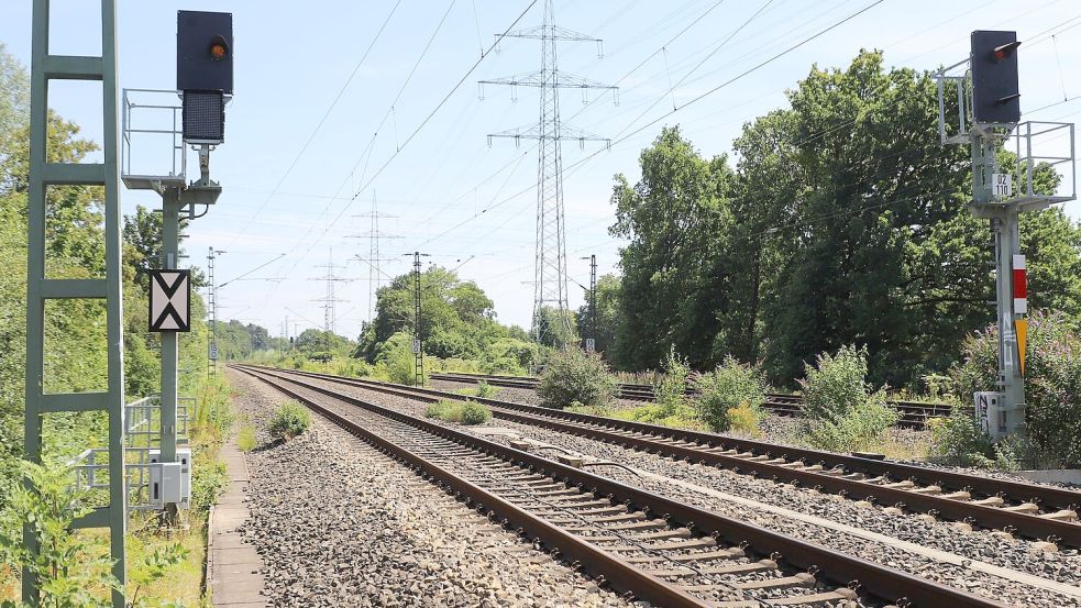2023 hat die Bahn den Einsatz von Glyphosat eingestellt - und macht nun die Kehrtwende. (Archivbild) Foto: Sascha Thelen/dpa