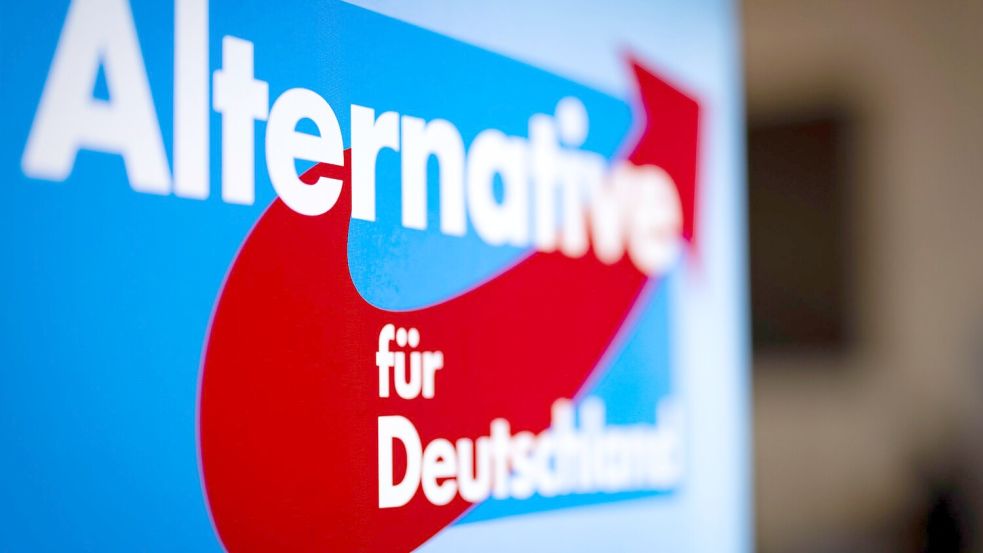 Unbekannte haben E-Mail-Konten der AfD angegriffen Foto: Christoph Reichwein/dpa