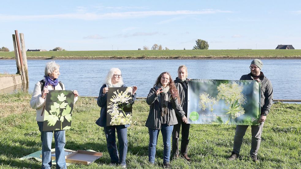 Die Loki Schmidt Stiftung wählt jedes Jahr eine Blume aus, die auf den Schutz der Natur aufmerksam machen soll.  Foto: Christian Charisius/dpa