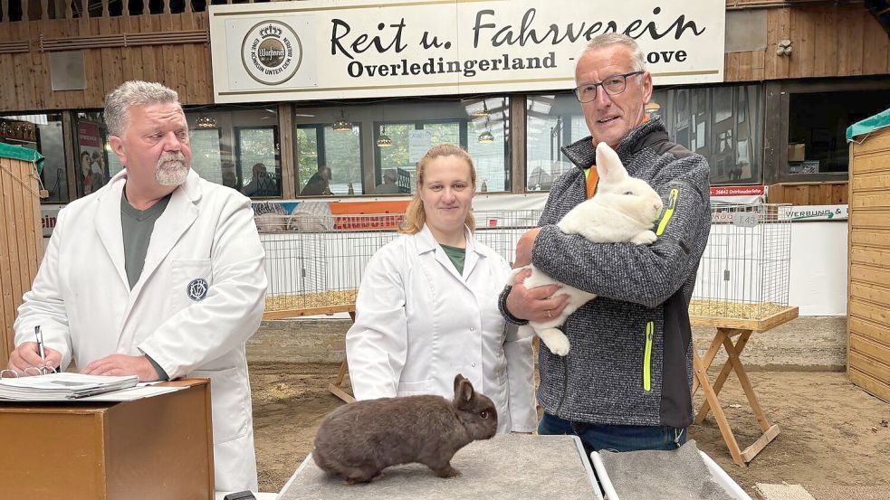 Welches Kaninchen die Bewertung gut, sehr gut, hervorragend oder sogar vorzüglich erhält, entschieden vier Preisrichter schon am Freitagmorgen. Foto: Romy Jochens