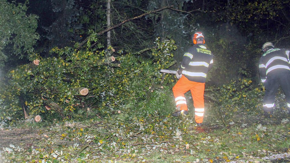 Die Feuerwehr zerteilt die Bäume und entfernt sie von der Straße. Foto: Freiwillige Feuerwehr Weener