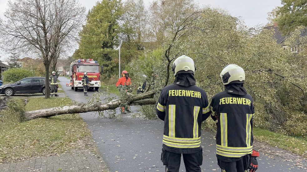 Einsatz im Innenstadtbereich von Aurich: Sturmböen entwurzelten eine Birke in der Fritz-Reuter-Straße, die von den Einsatzkräften weggeräumt wurde. Foto: Daniel Gerock/Feuerwehr Aurich