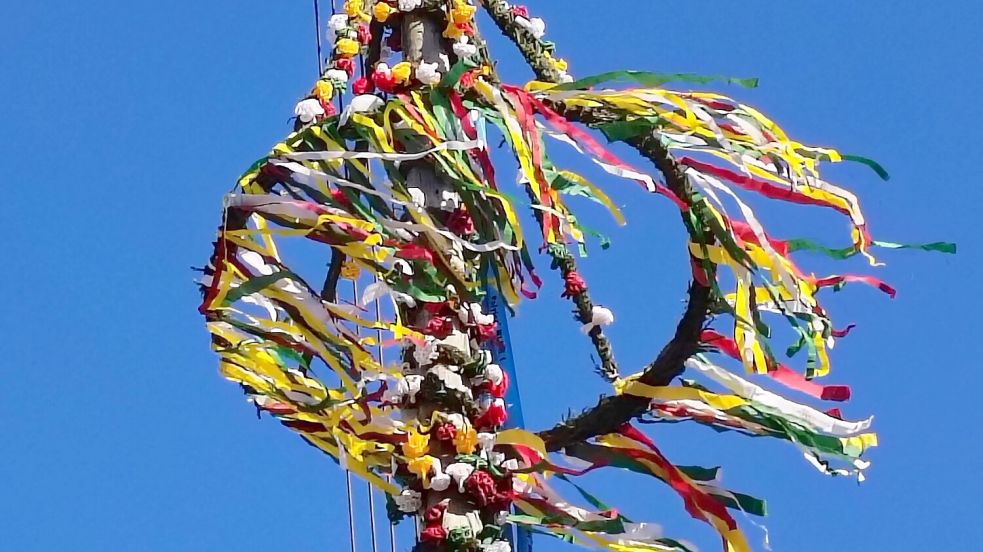 An vielen Orten wird am 30. April ein Maibaum aufgestellt. Symbolfoto: Karin Böhmer/Archiv