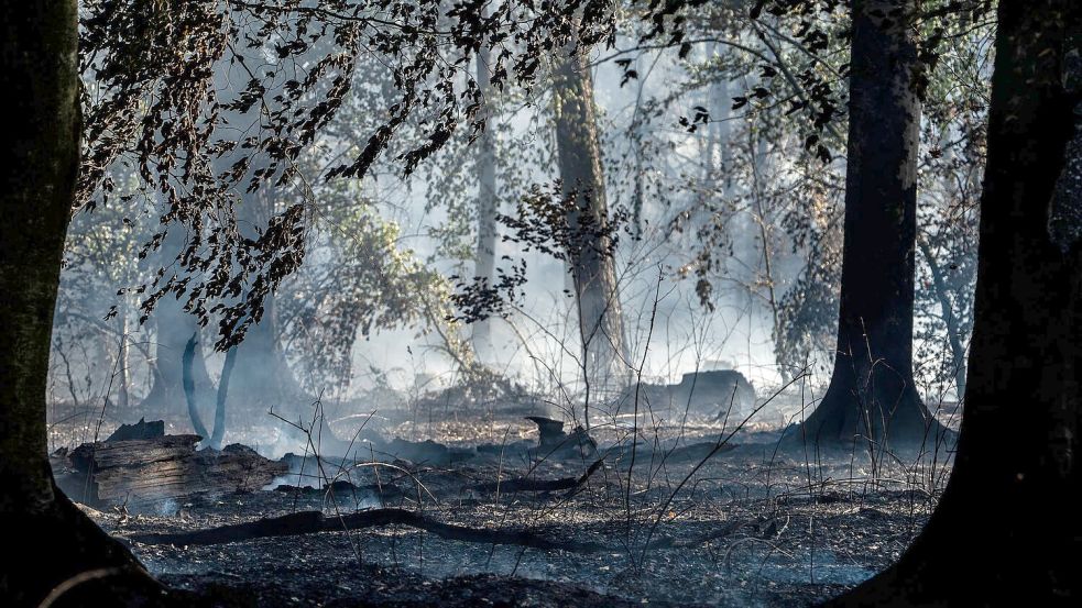 Waldbrände – nur eine von vielen Gesundheitsgefahren, die durch den Klimawandel zunehmen.  Foto: Andreas Arnold/dpa