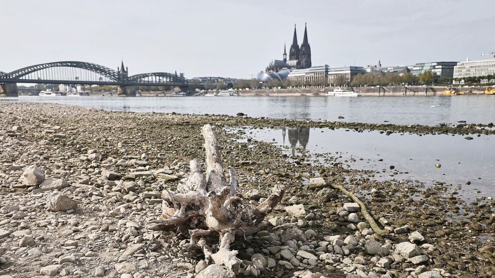 Die Wasserstände der Flüsse waren nach einer Auswertung des Science Media Center dieses Jahr extrem niedrig (Archivbild).  Foto: Oliver Berg/dpa