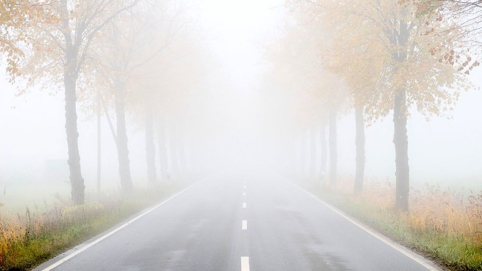 Niederschlag war im Oktober in Deutschland sehr unterschiedlich verteilt. Foto: Julian Stratenschulte/dpa