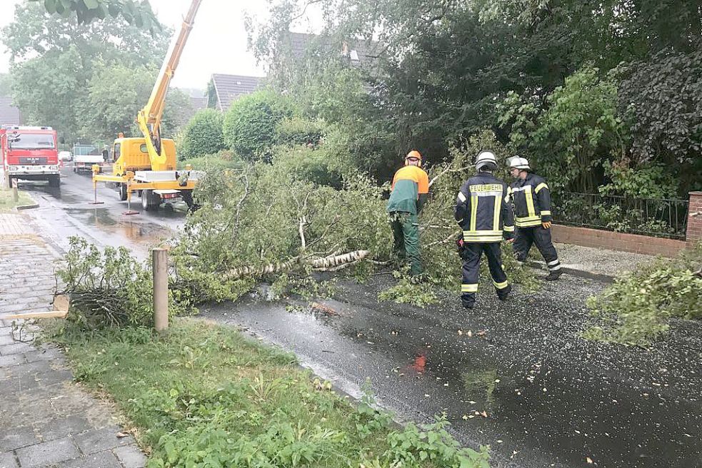 Im Roten Weg in Leer drohte ein Baum auf die Fahrbahn zu stürzen. Bild: Feuerwehr