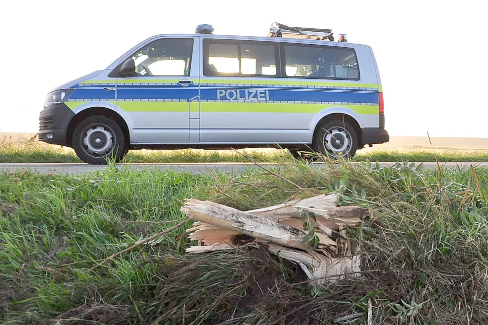 Bevor der Wagen sich überschlug, riss er einen Baum ab.