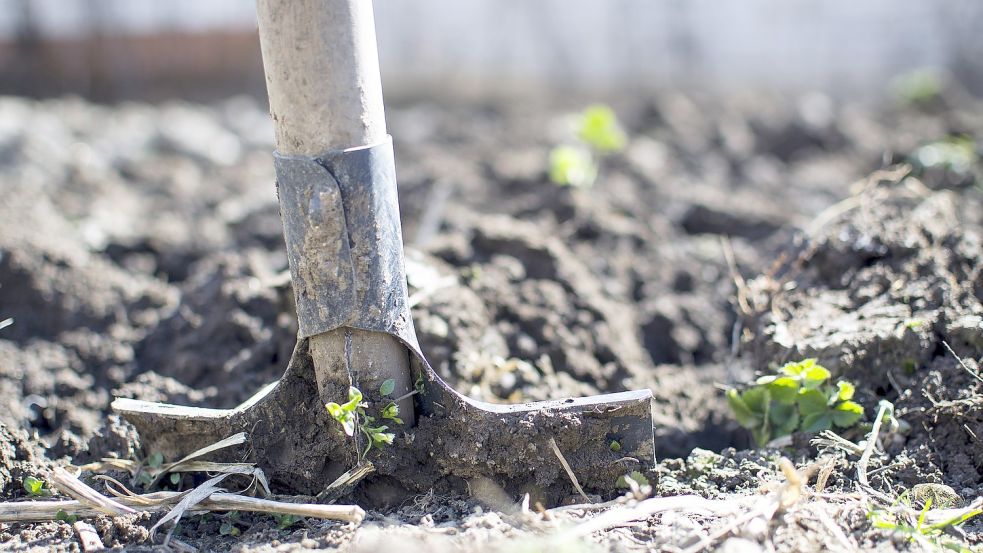 GartenSerie Umgraben oder lieber doch nicht? GeneralAnzeiger