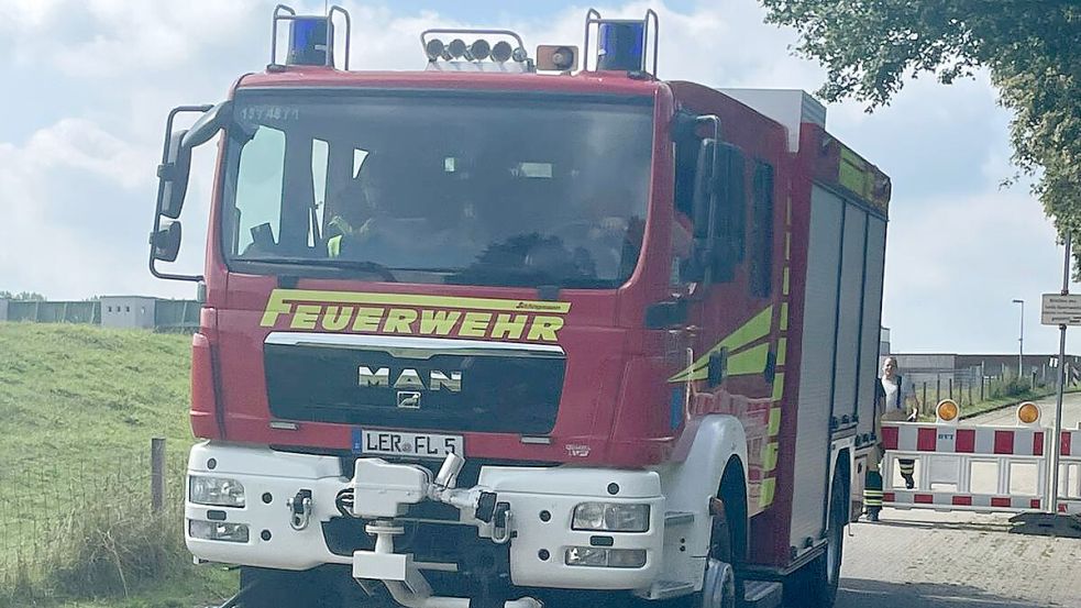 Operation in Leer: Fire brigade retrieves dead sheep from Leda