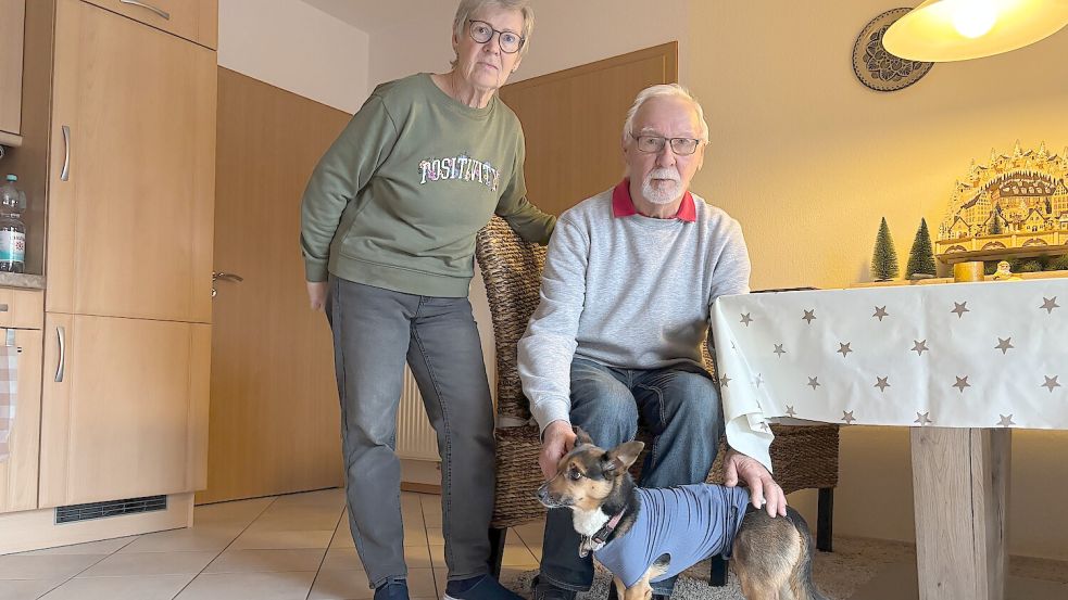 Seriously injured: Dog Chica (9) attacked in Ostrhauderfehn