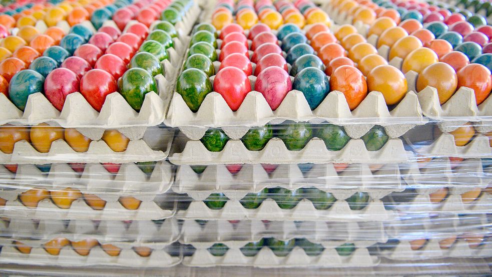 Before Easter: Eggs despite avian flu - | this is the situation in Leer