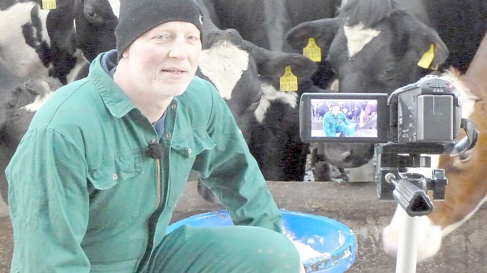 Crop failures: Protection for geese - | Danger for farms in Rheiderland?