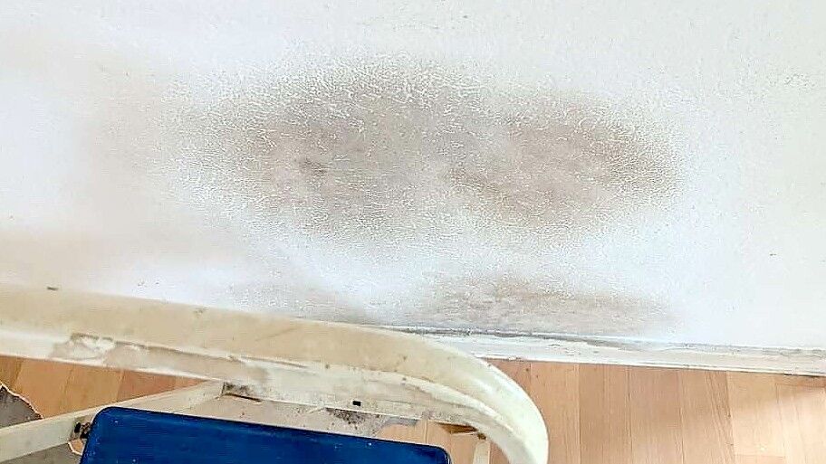 Mieterbund erklärt: Schimmelbefall - diese Rechte haben Mieter