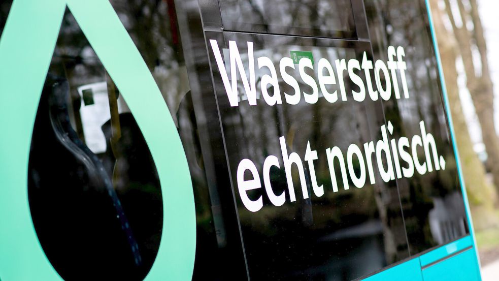 Public transport: Leer district quietly buries hydrogen buses