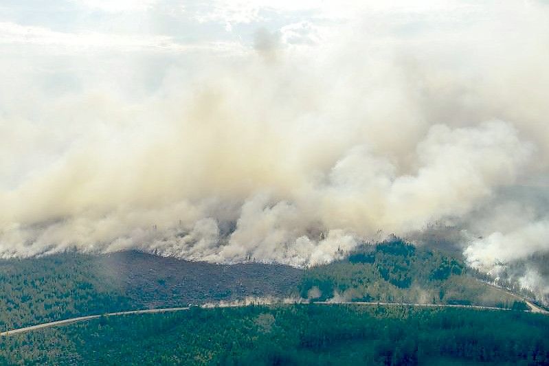 Große Waldbrände in Schweden - Ganze Dörfer evakuiert - General-Anzeiger